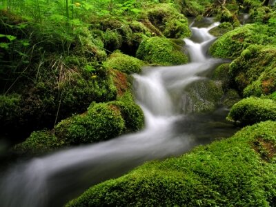 Фотообои Потоки водопада